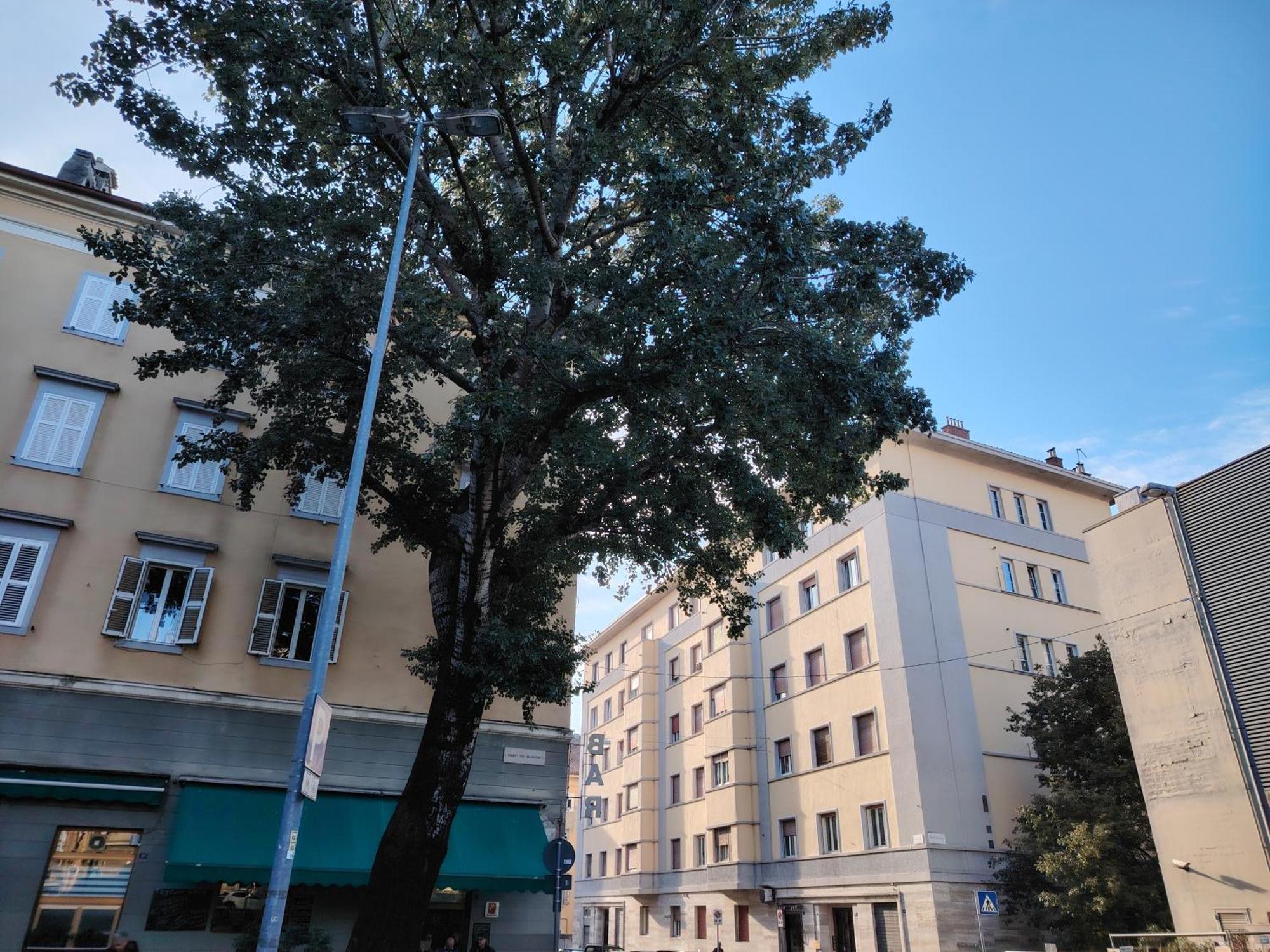 Fabio Haus Trieste Exteriör bild